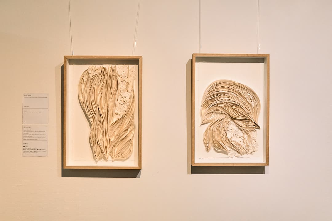 Session gallery 2